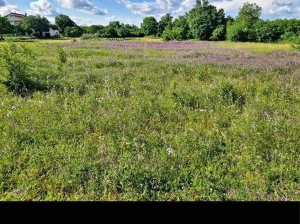 Prodej stavební parcely 1933 m²