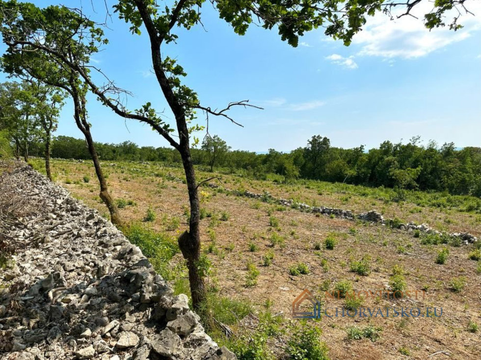 Prodej stavební parcely 8600 m²