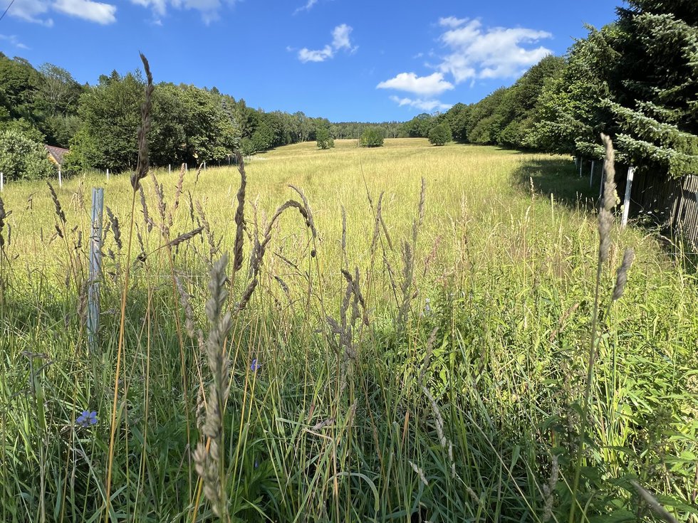 Prodej stavební parcely 1250 m², Svoboda nad Úpou