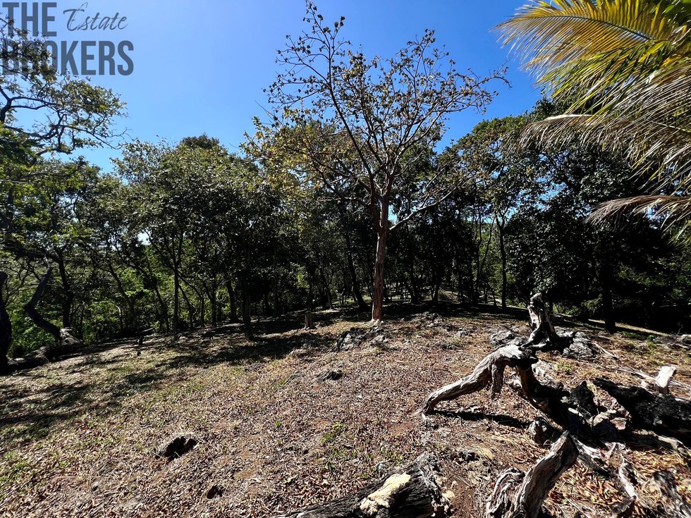 Bodden Bight Estate Jonesville