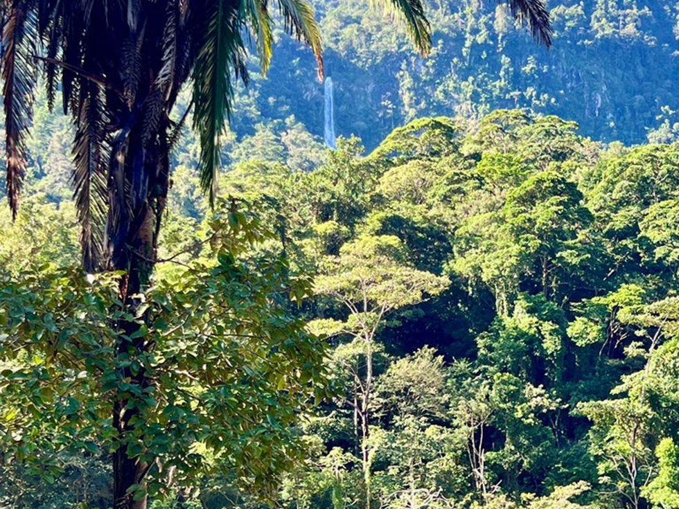 Villas at Pico Bonito