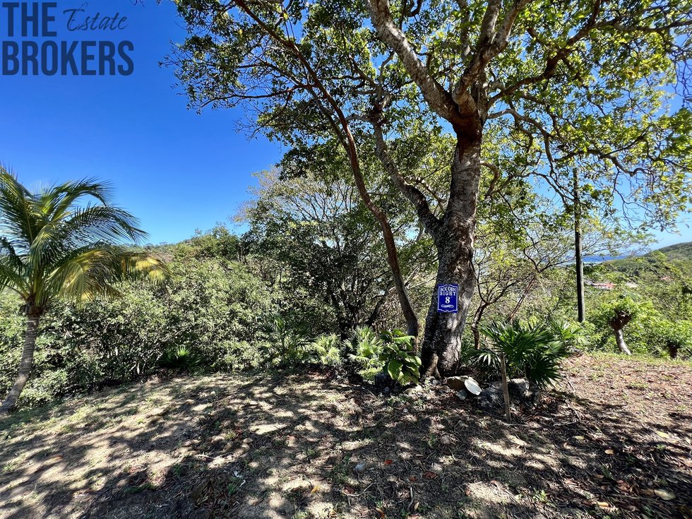 LOT 8 Bodden Bight Estate, Roatan