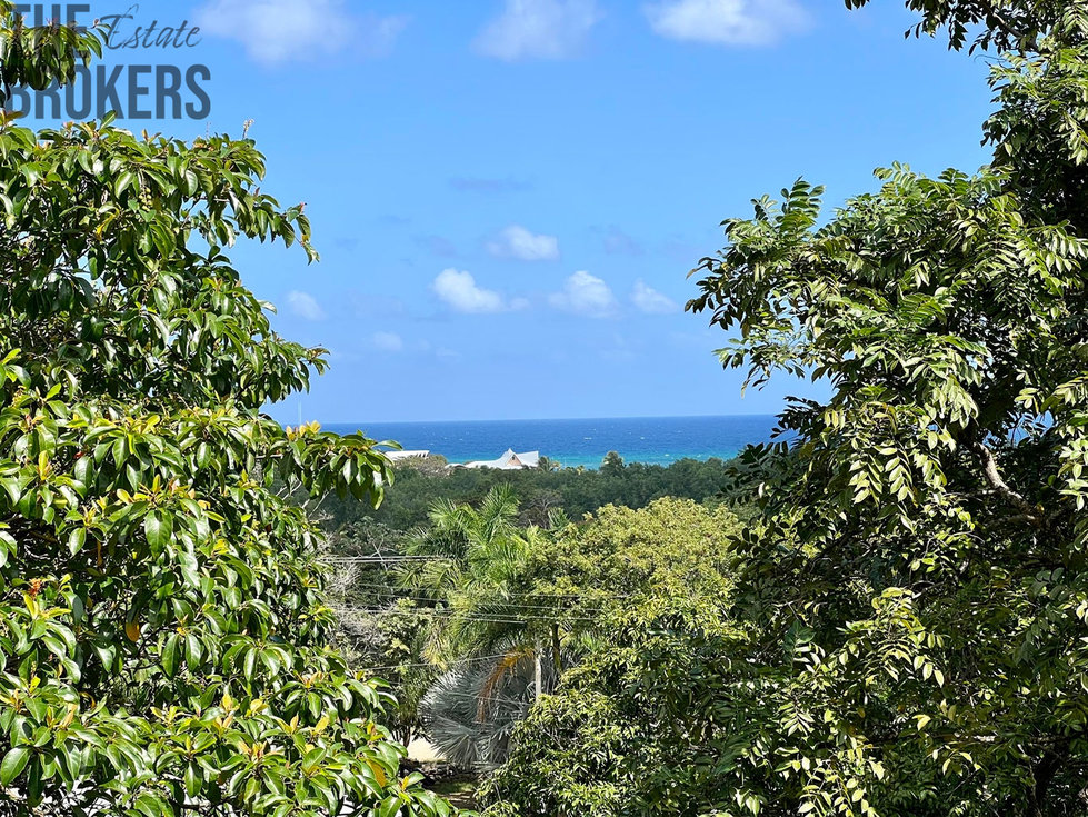 2BD&2BT Bungalow Diamond Hill Resort, Roatan