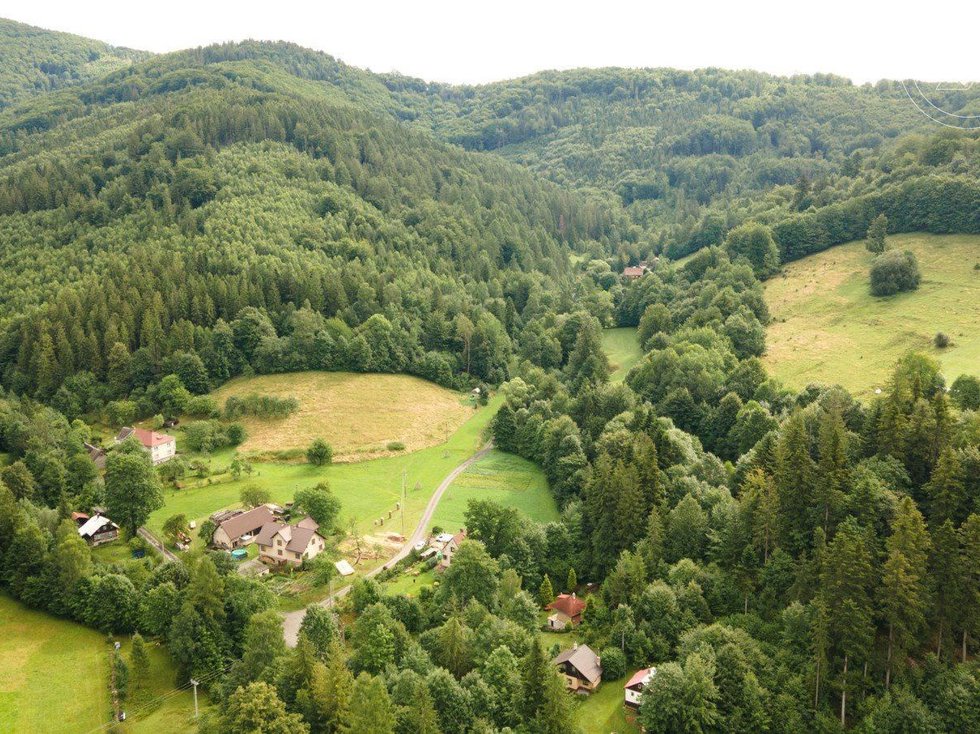Prodej lesa 20397 m², Nýdek