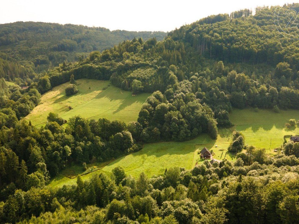 Prodej lesa 21679 m², Nýdek