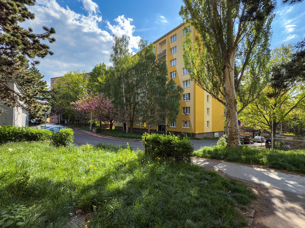 Foto31