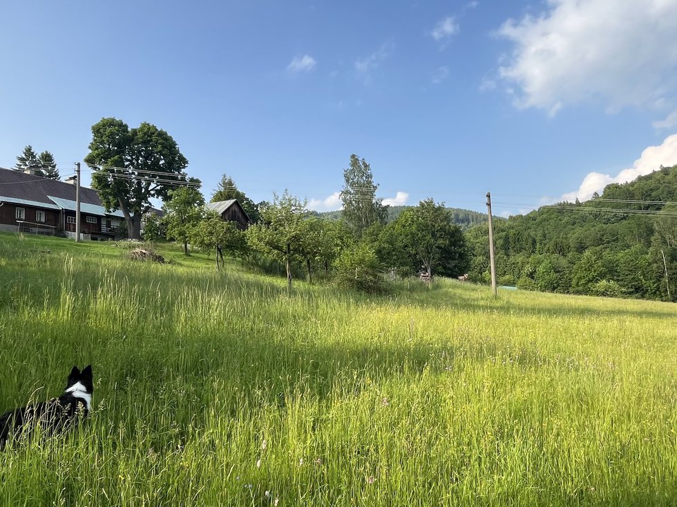 Prodej stavební parcely 1101 m², Zlatá Olešnice
