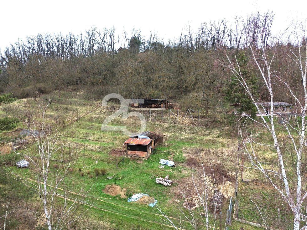 DJI_0009.jpg