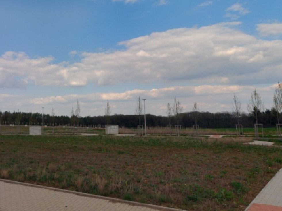 Panorama