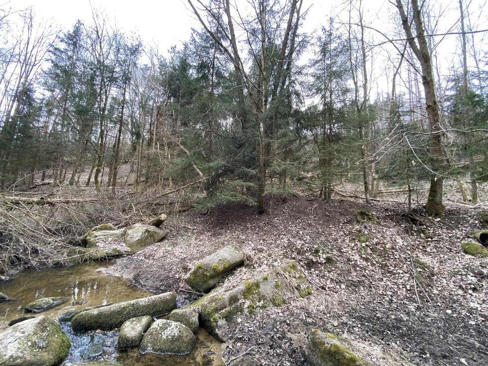 Prodej ostatních pozemků 580 m², Slavičky