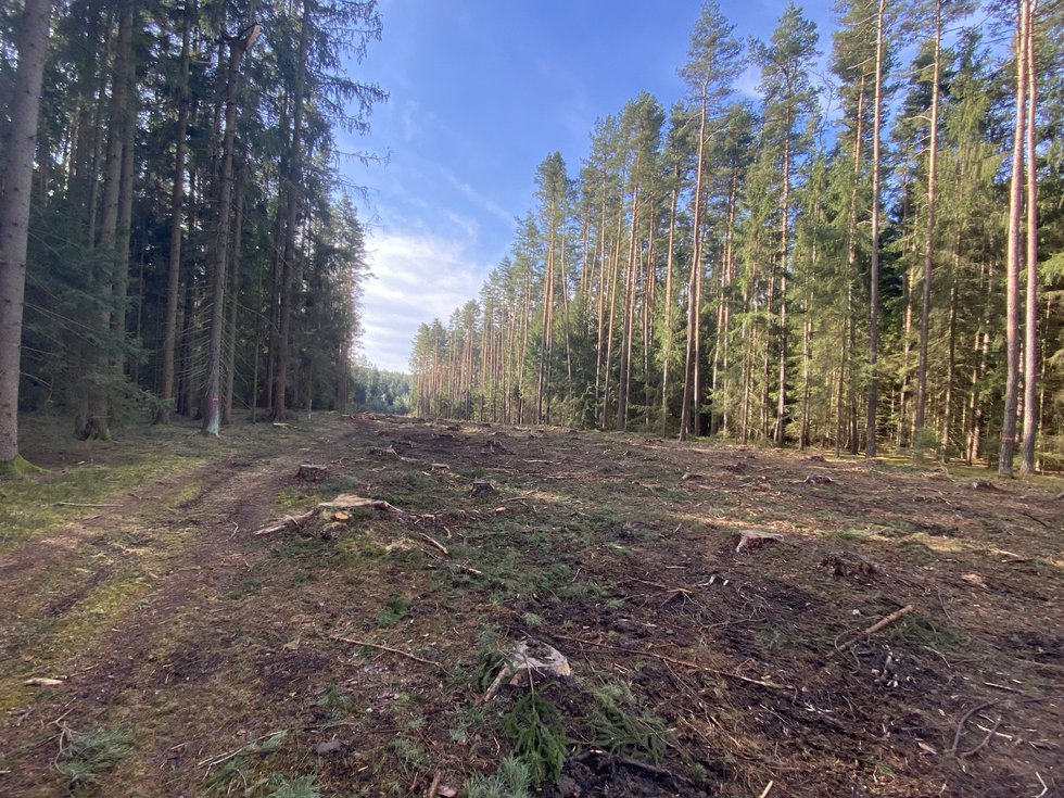 Prodej lesa 7764 m², Újezdec