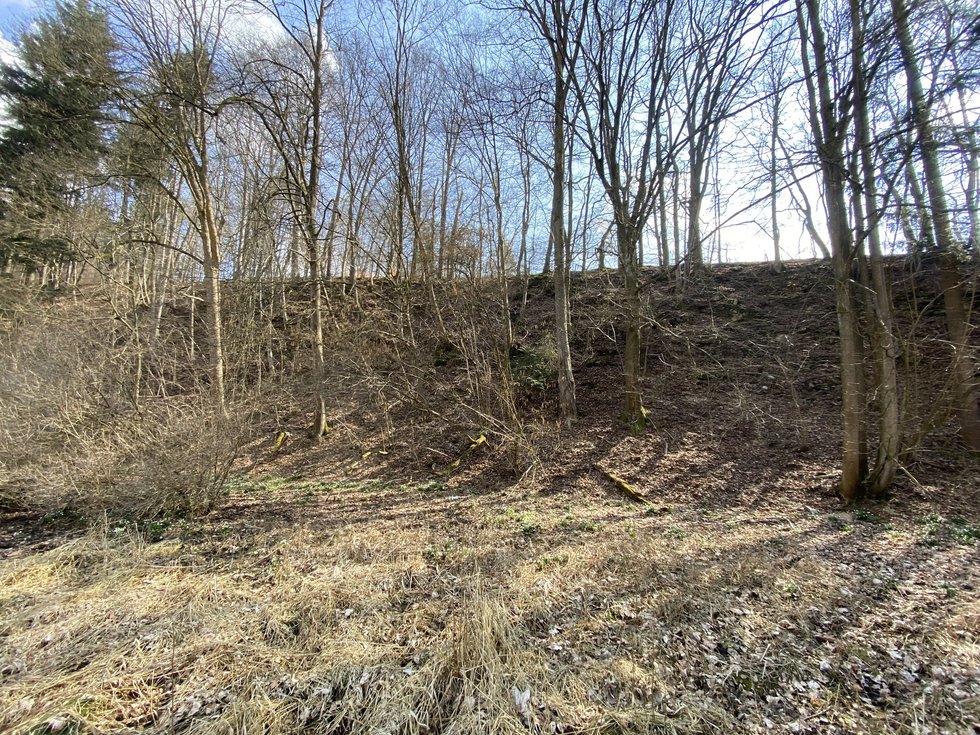 Prodej lesa 346 m², Třebovice