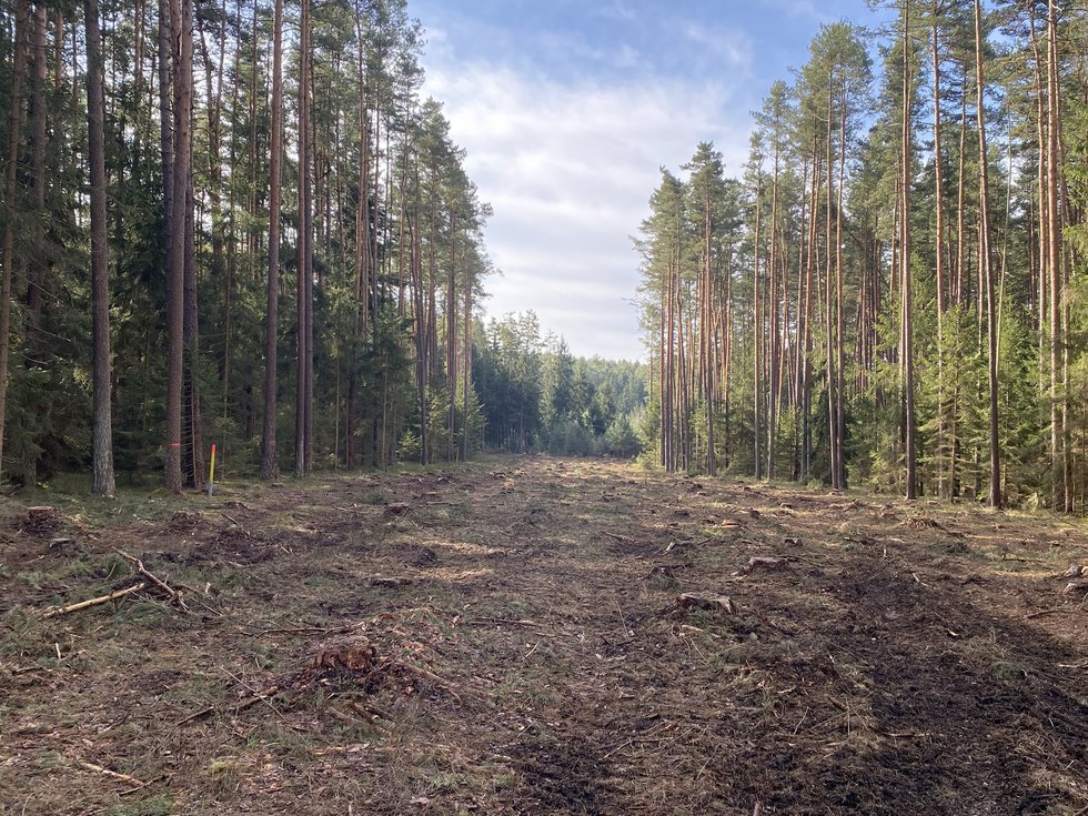 Prodej lesa 7764 m², Újezdec