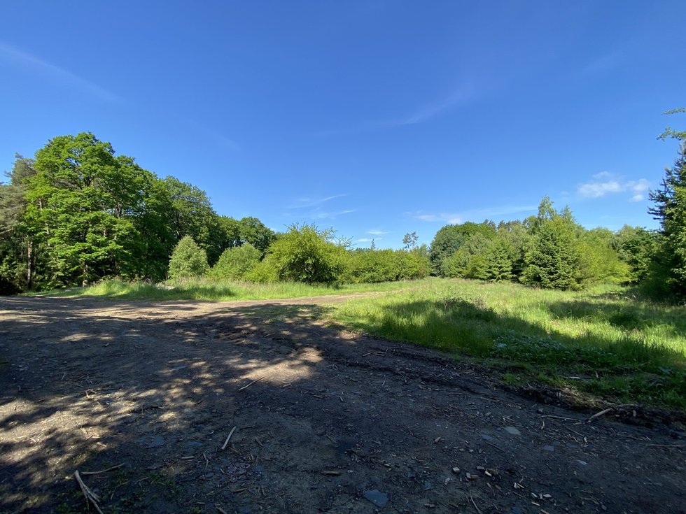 Prodej louky 2923 m², Velké Opatovice