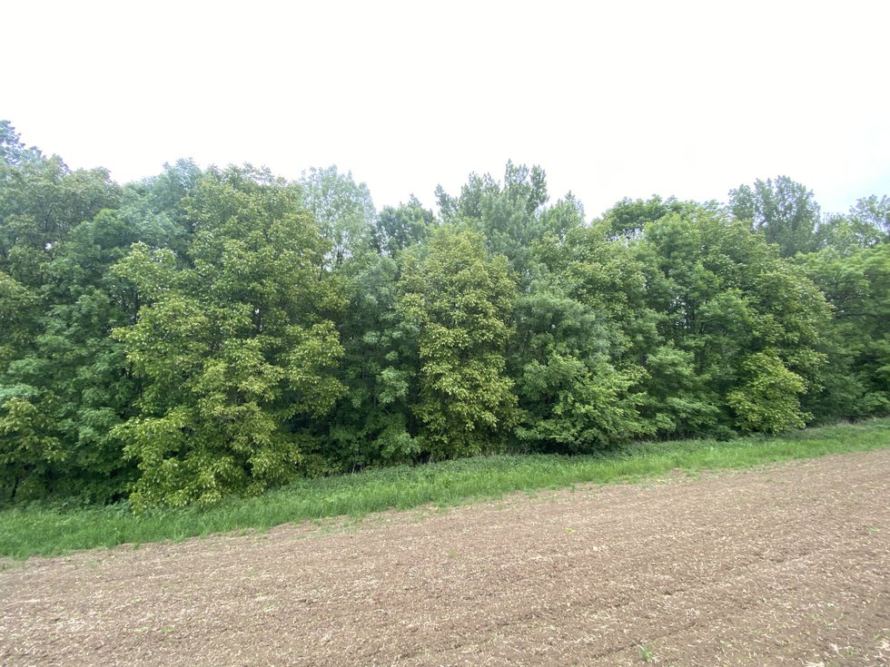 Prodej ostatních pozemků 380 m², Podolí