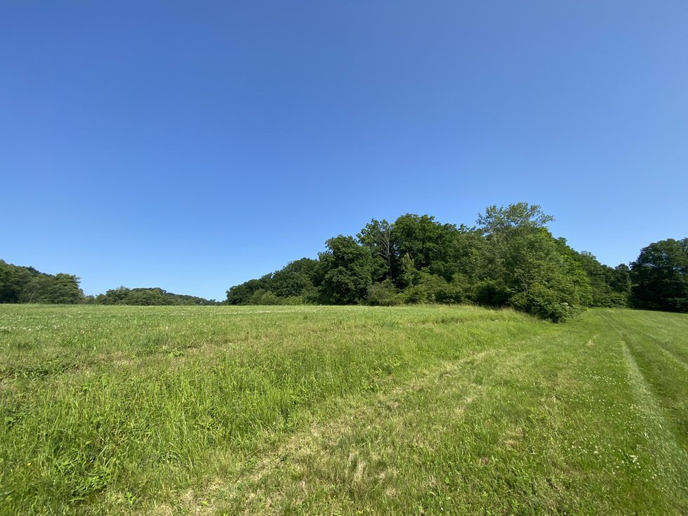 Prodej lesa 2228 m², Roštění