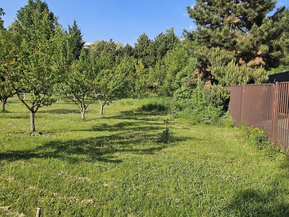 Dražba ostatních pozemků 721 m², Brno
