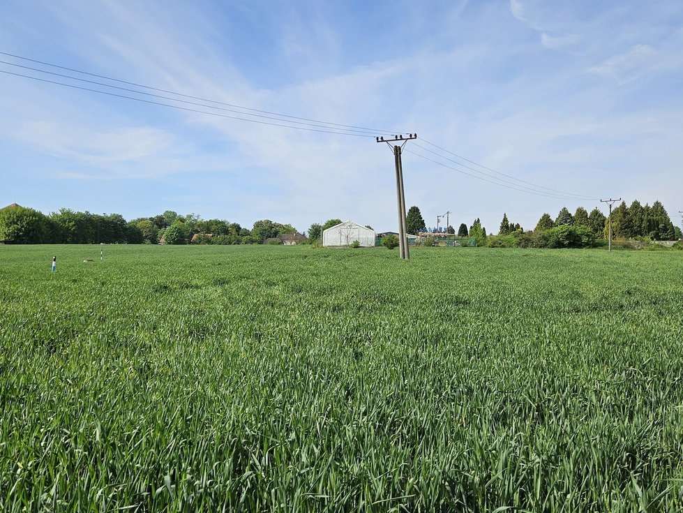 Dražba ostatních pozemků 50066 m², Kuřim