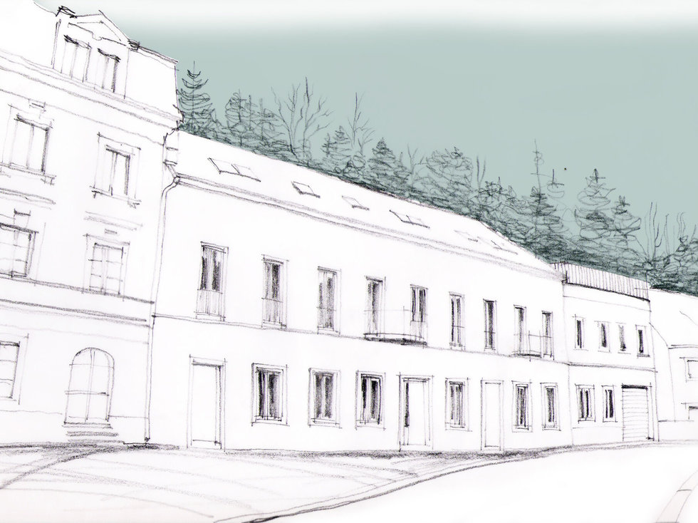 Prodej činžovního domu 750 m², Březová