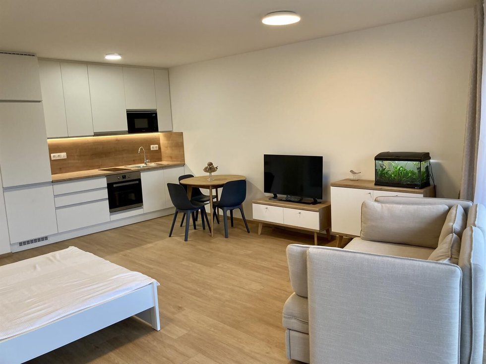 Pronájem bytu 1+kk, garsoniery 48 m², Praha