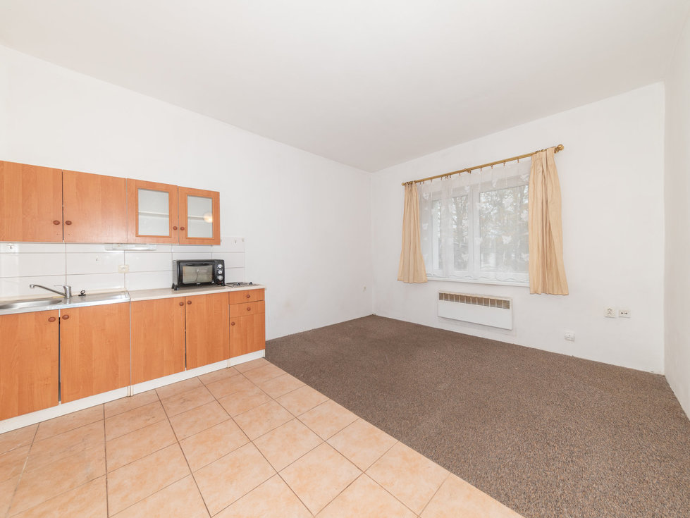 Pronájem bytu 1+kk, garsoniery 25 m², Doksy