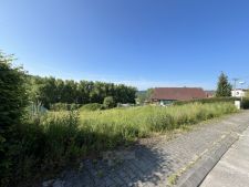 IMG_5063.jpg