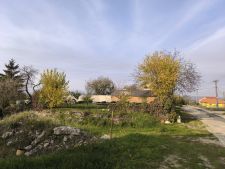 IMG_20241106_095950