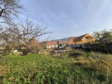 IMG_20241106_095804
