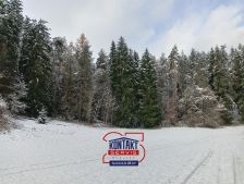 Prodej lesa, 14776m<sup>2</sup>, Horn Bukovina, 359.000,- K
