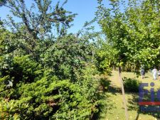 IMG_20220808_102703