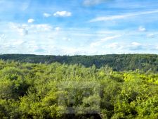 IMG_6448