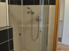 Koupelna, pronájem bytu 1+kk, Dlouhá Louka, České Budějovice