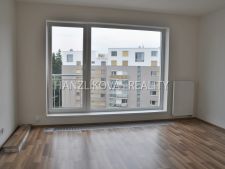 Pokoj, pronájem bytu 1+kk, Dlouhá Louka, České Budějovice