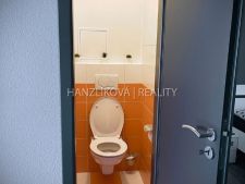 Pronájem zrekonstruovaného zařízeného bytu 3+1, Lipenská ulice
