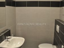 Koupelna, pronájem bytu 1+kk, Dlouhá Louka, České Budějovice