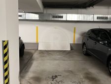 IMG_5892.jpeg