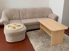 obývací pokoj s dřevěná podlaha