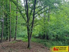 Rozstání - prodej lesa