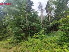 Prodej lesa, 9227m<sup>2</sup>, Radošovice, 270.000,- Kč