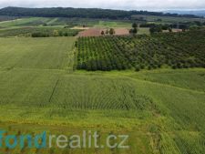 Prodej zemědělské půdy, 4926m<sup>2</sup>, Malovice - Krtely, 246.000,- Kč