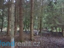 Prodej lesa, 9683m<sup>2</sup>, Myslkovice, 377.600,- Kč