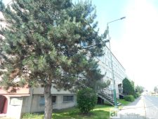 DSCN4592