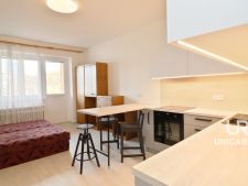 Pronájem bytu 1+kk Tábor, Brno-Žabovřesky, pokoj