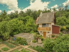 DJI_0575.jpg