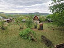IMG_20250508_191739.jpg