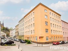 fotobytanenska1 (1)