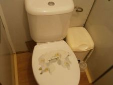 Litoměřice - pronájem bytu 1+1+ lodžie