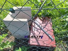 IMG-20250615-WA0050