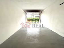 IMG_1135.jpeg
