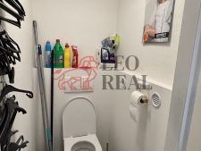 IMG_3339.jpeg